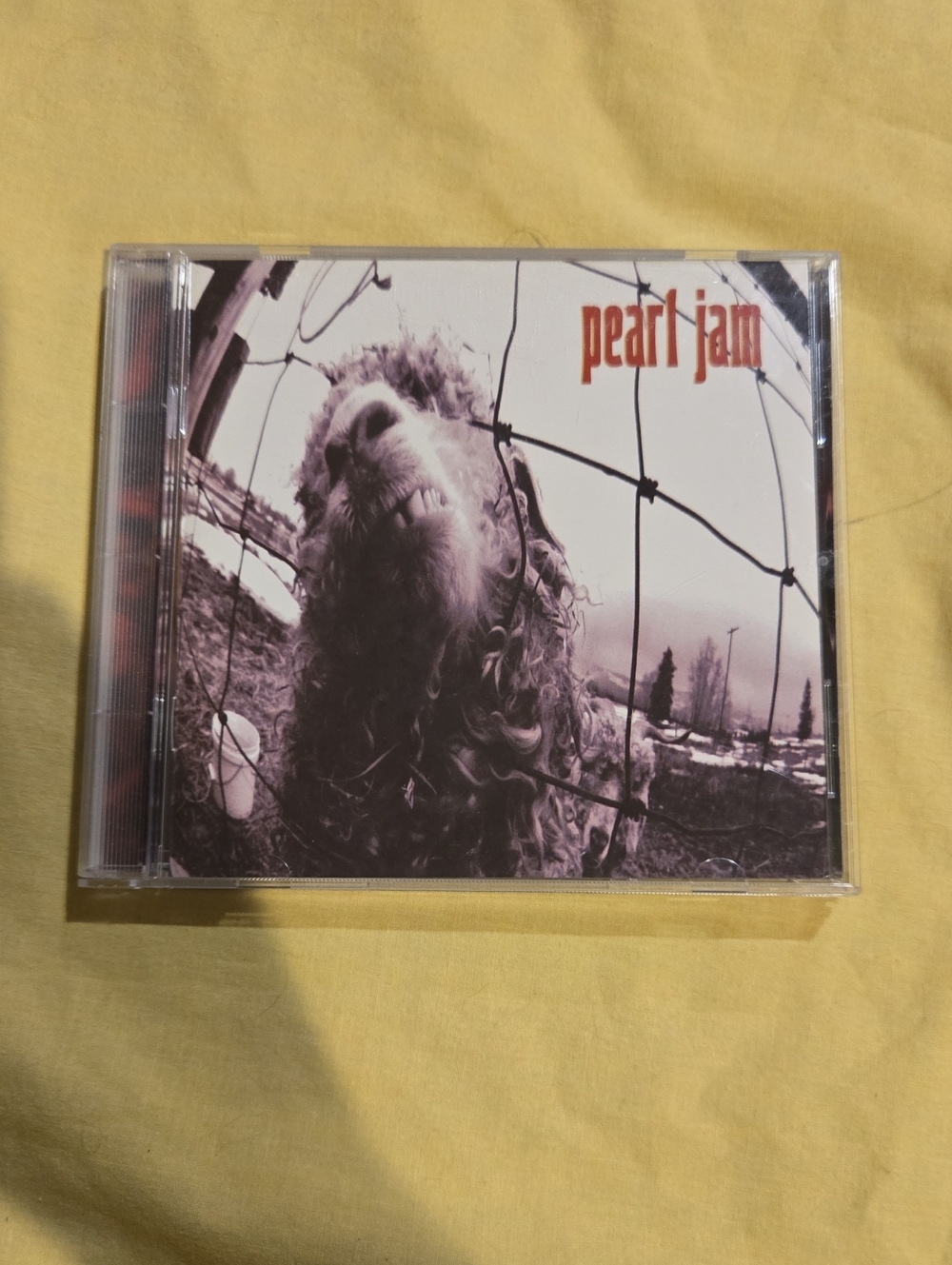 Pearl Jam Vs. Album CD